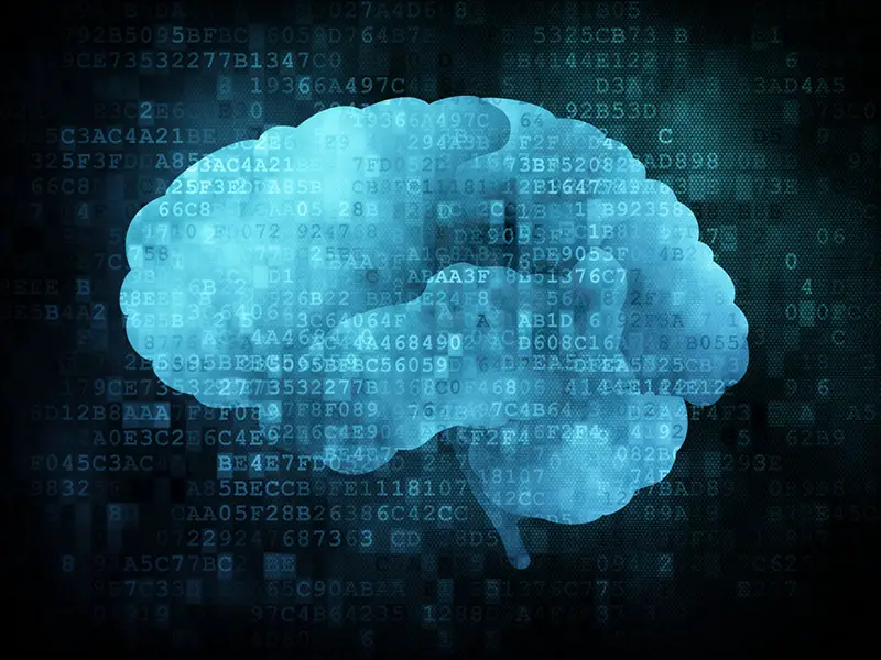brain computer deep learning network