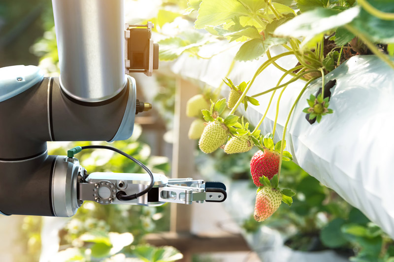 robot fruit farming technology future timeline
