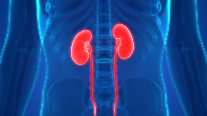 kidney genes future timeline