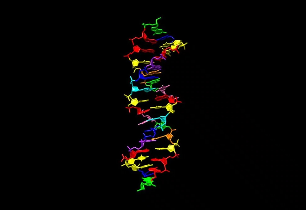 synthetic dna future timeline