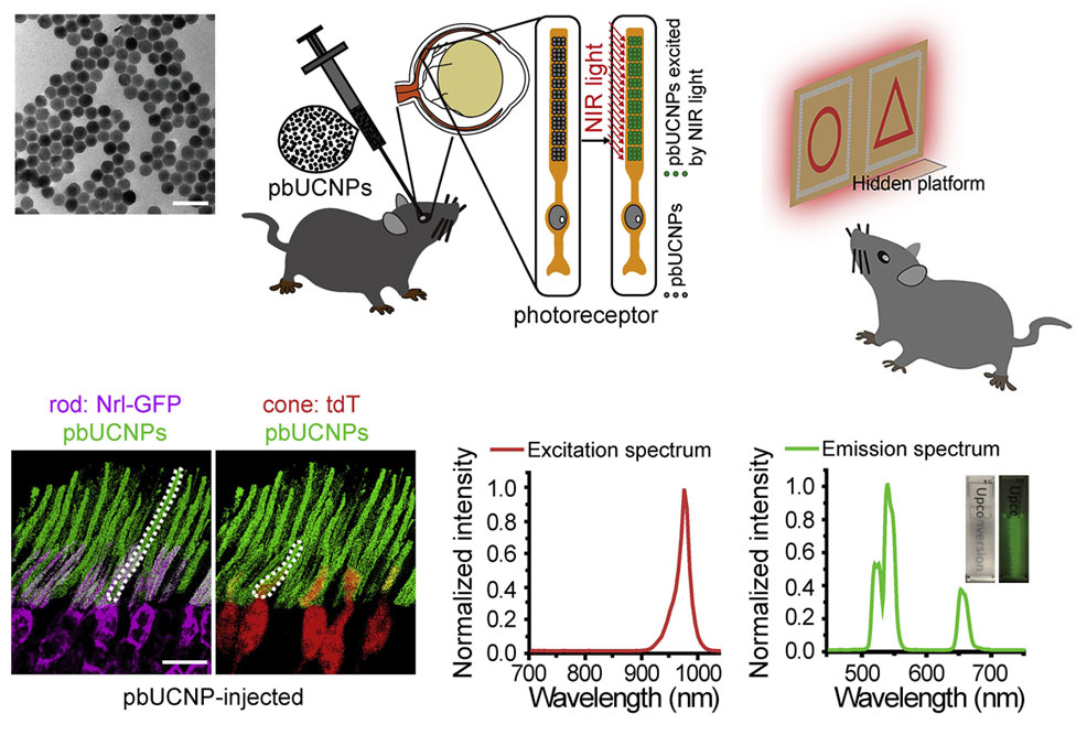 electromagnetic spectrum visible light