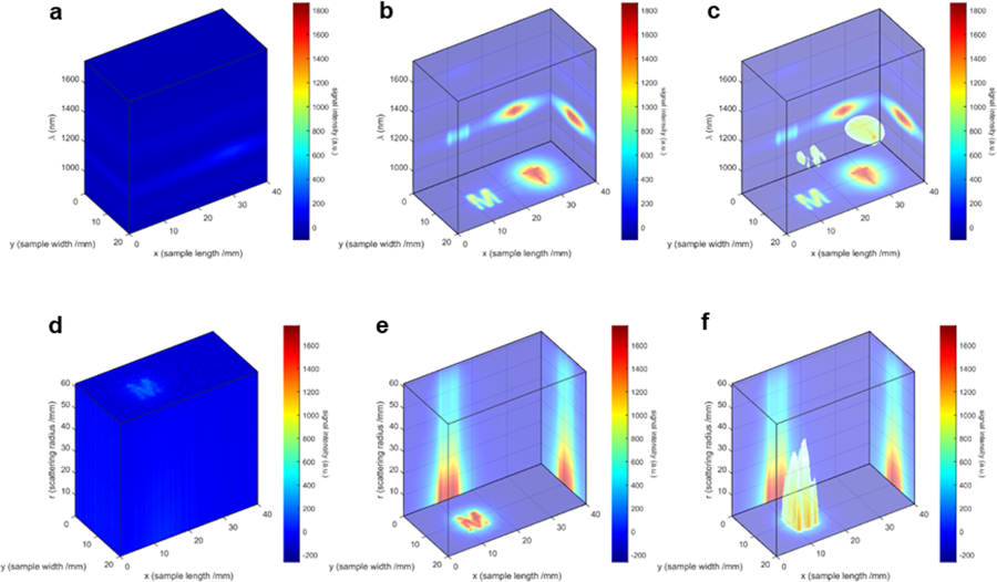 2019 optical imaging cancer tumours mit