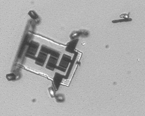 micro robots needle future timeline nanotechnology