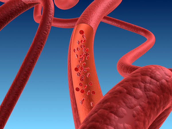 blood vessels from stem cells