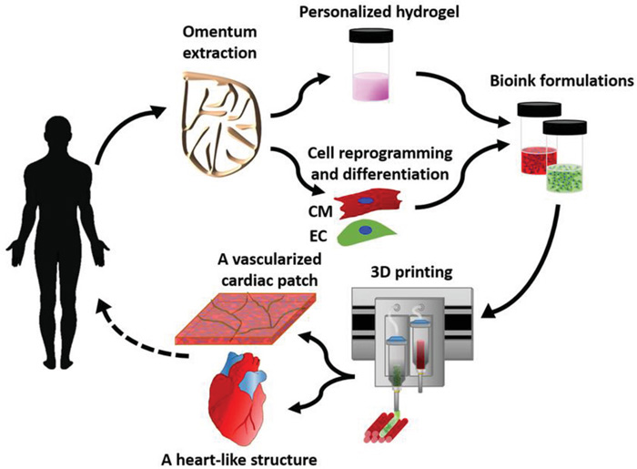3d printed heart future timeline