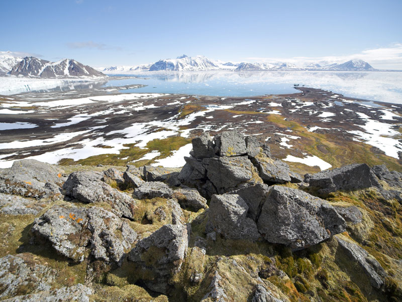 arctic permafrost future timeline