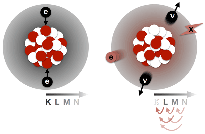 xenon dark matter future timeline