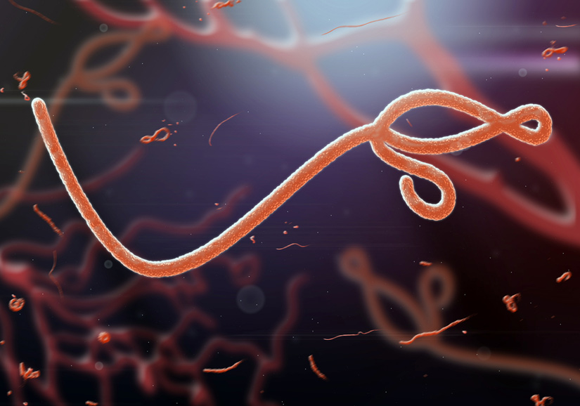 ebola