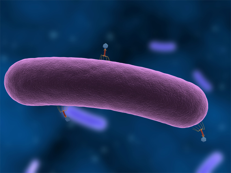 phage therapy future timeline