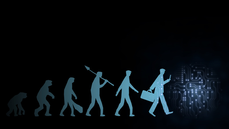 future human evolution
