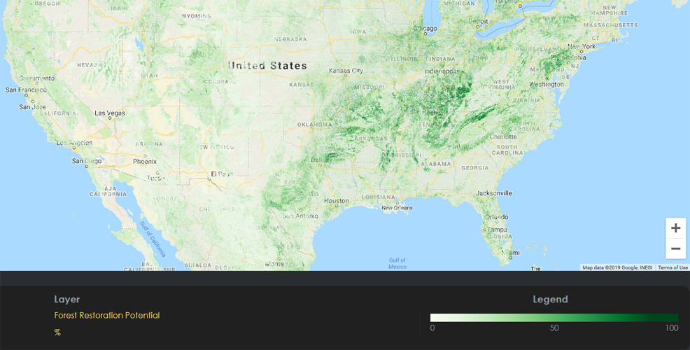 reforestation global map future timeline