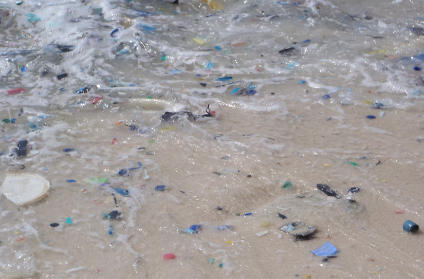plastic in 99 percent of seabirds by 2050