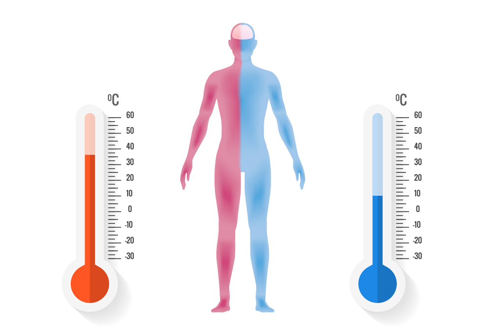 human body suspended animation future timeline