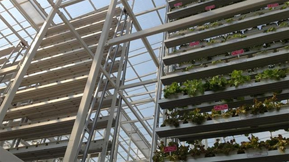 vertical farm singapore