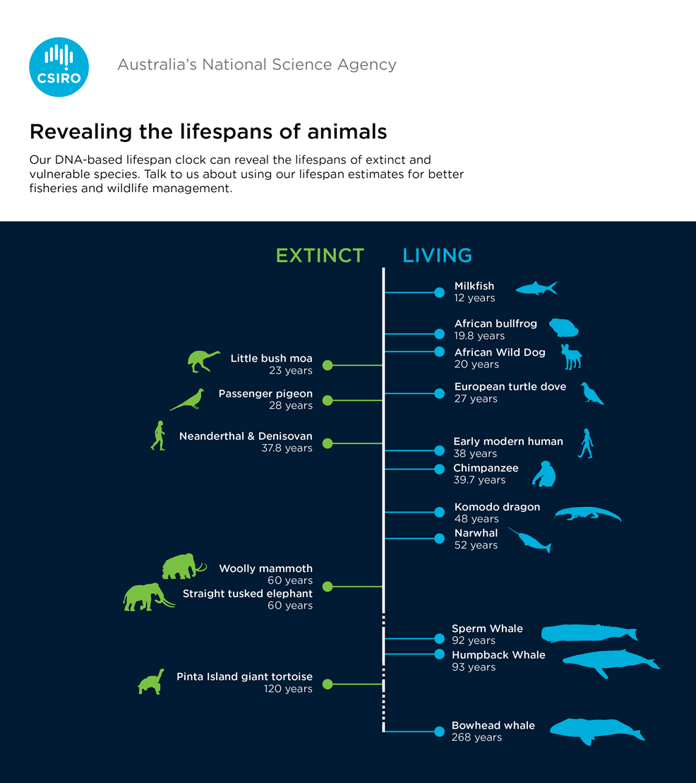 dna genetic clock future timeline