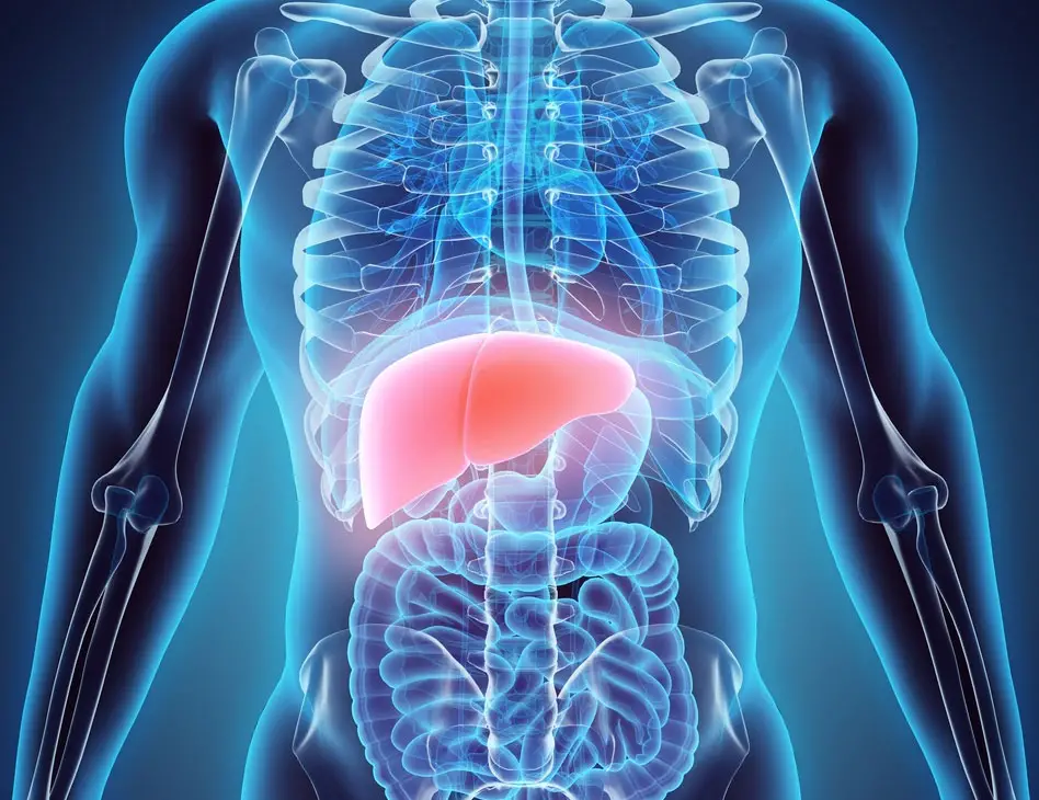 future liver transplantation
