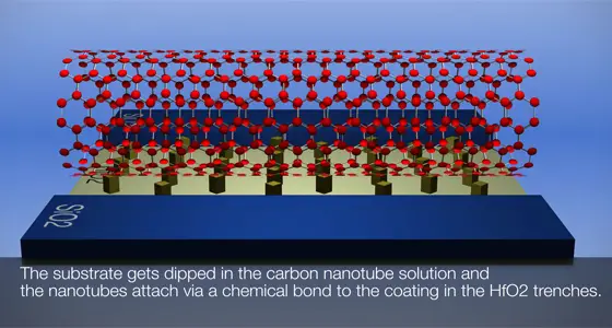 carbon nanotube chip