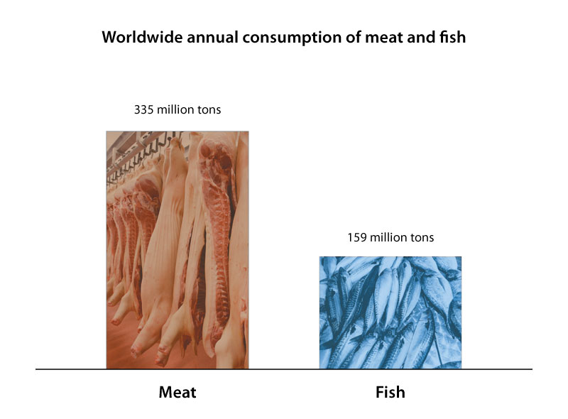 lab grown fish meat 2020 2021