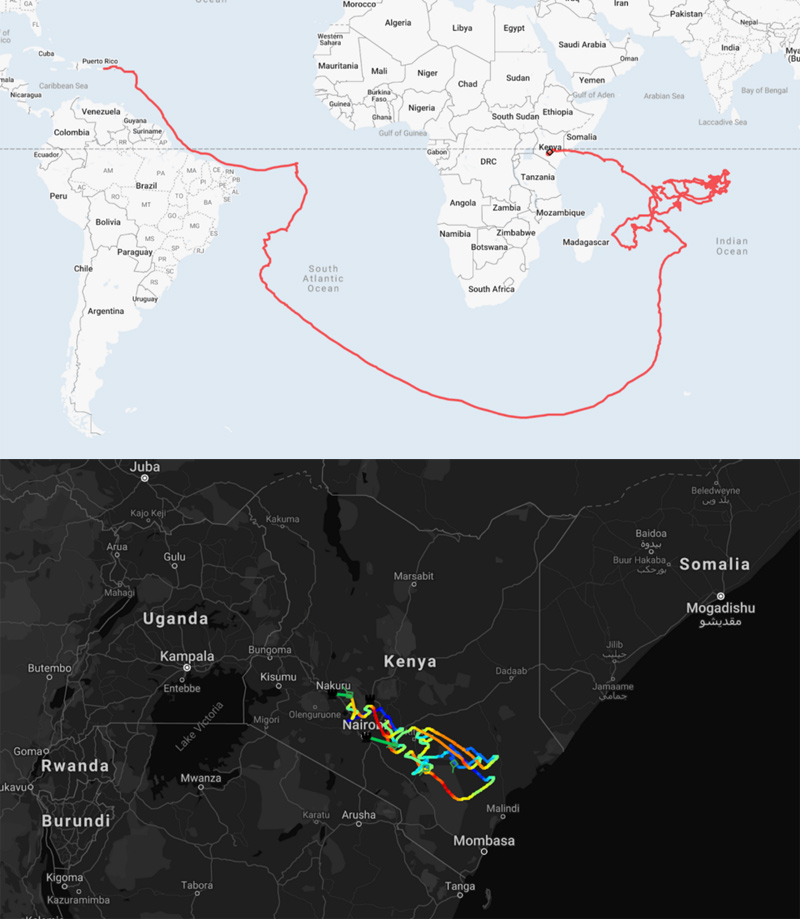 internet balloons 4g coverage kenya