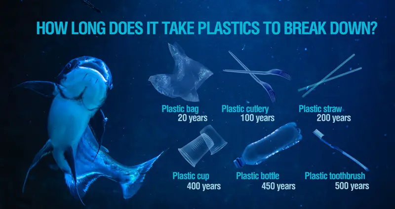 2040 ocean plastic pollution 2040