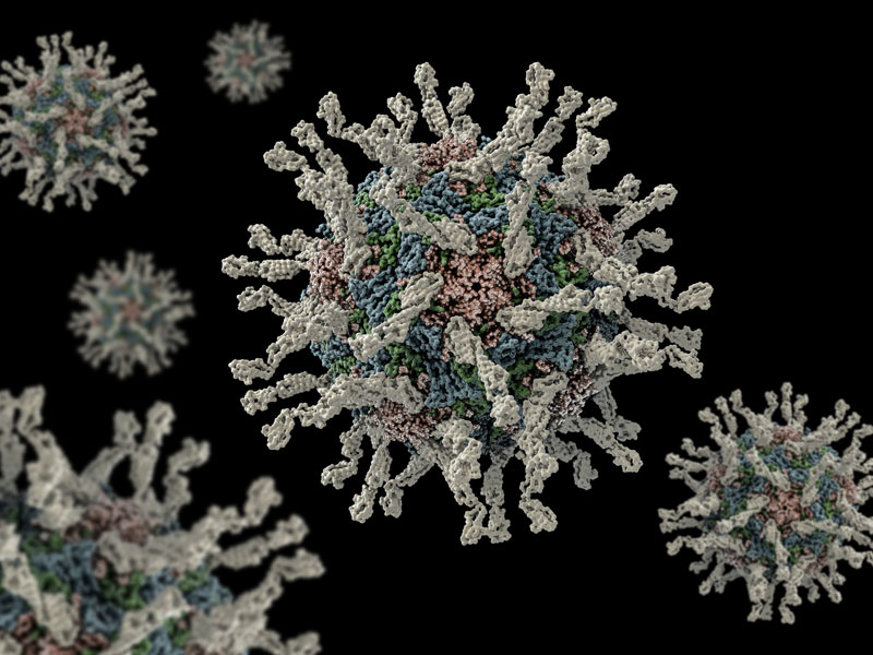 Africa has eradicated wild poliovirus