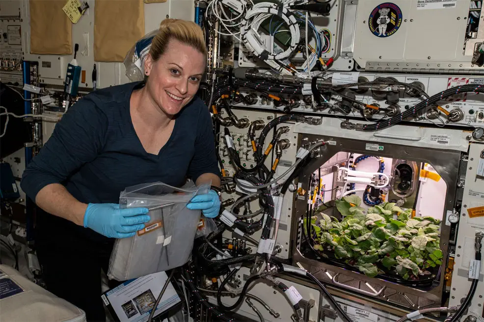 radishes grown in space for first time