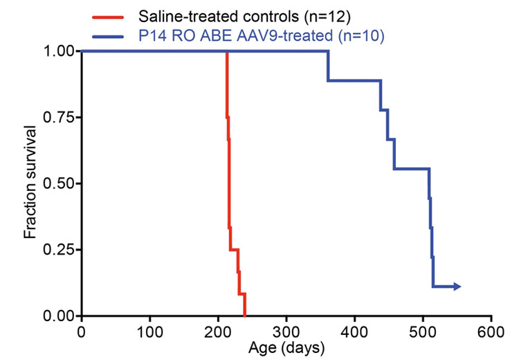 progeria aging future timeline