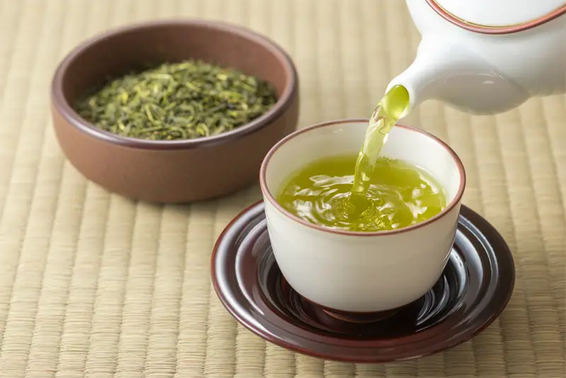 green tea fight cancer DNA repair