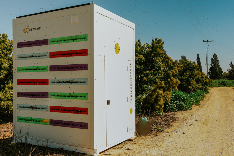 future beehive automated