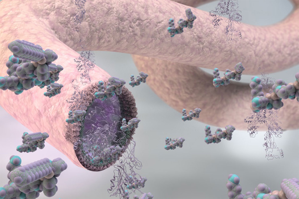 self assembling organic material artificial arteries