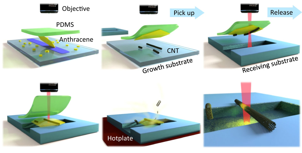 carbon nanotube future technology