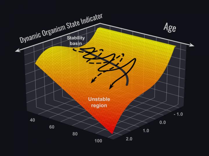 future human life span