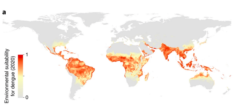 dengue fever map 2080 climate change