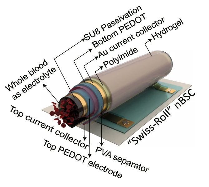 supercapacitor future timeline