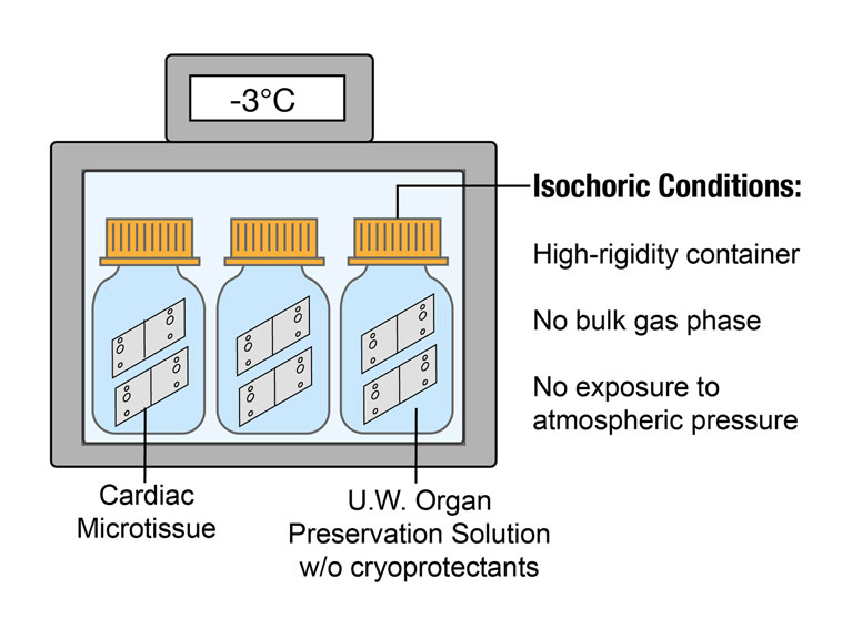 cryopreservation supercooling technology