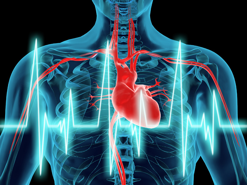 ai heart diagnosis