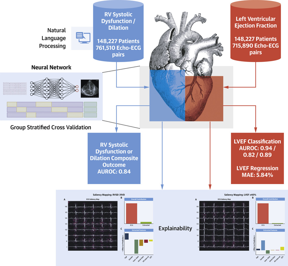 ai heart diagnosis