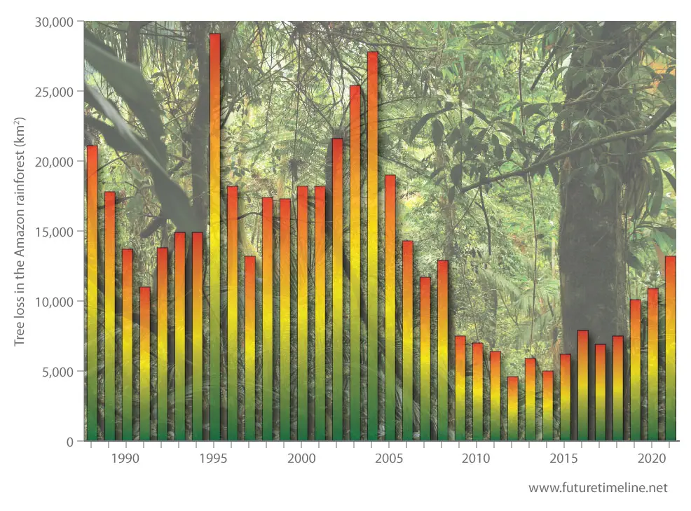 amazon deforestation future timeline