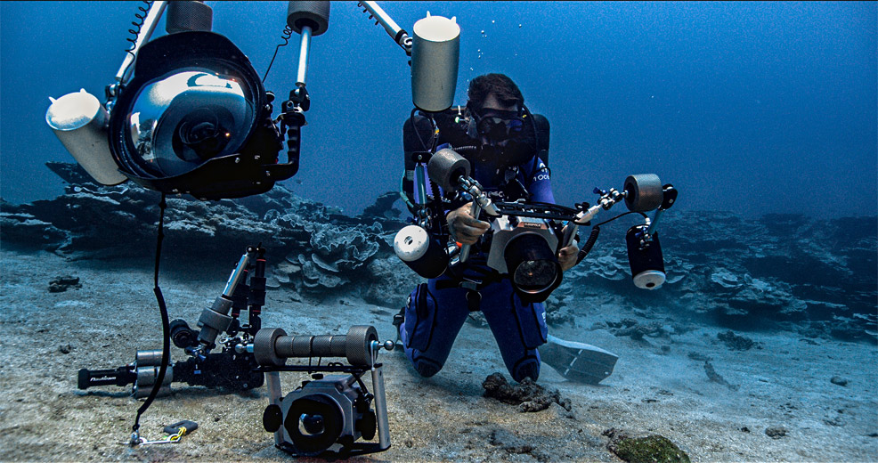 new coral reef tahiti