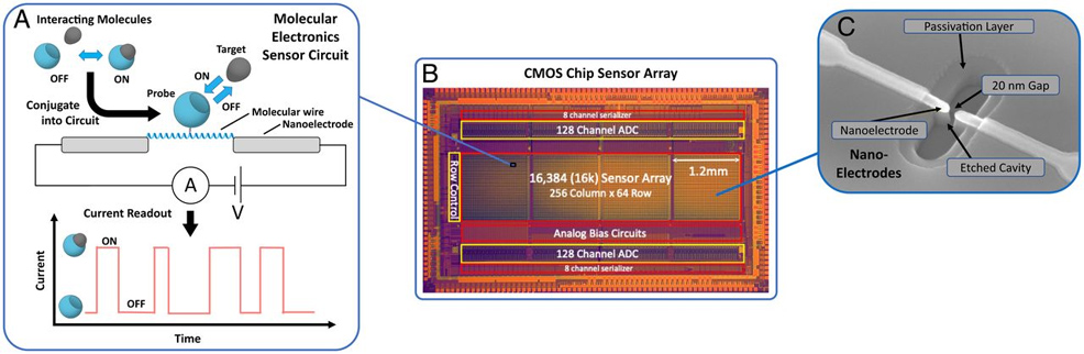 first molecular electronics chip technology