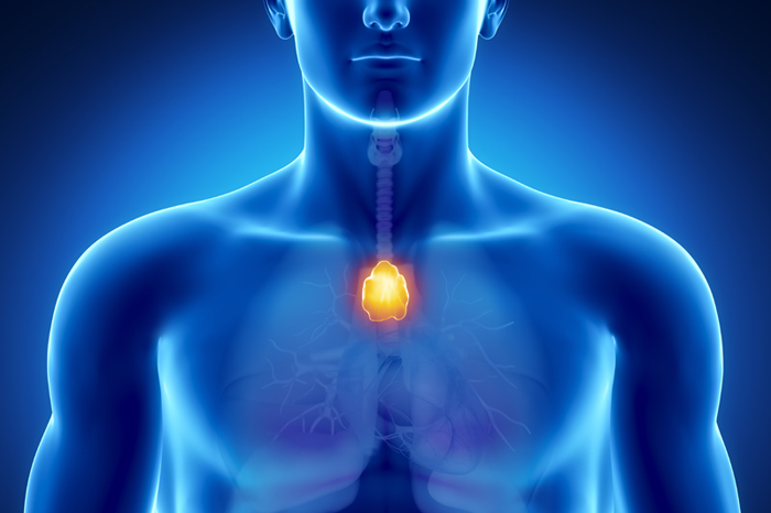 the first controlled study of caloric restriction in humans