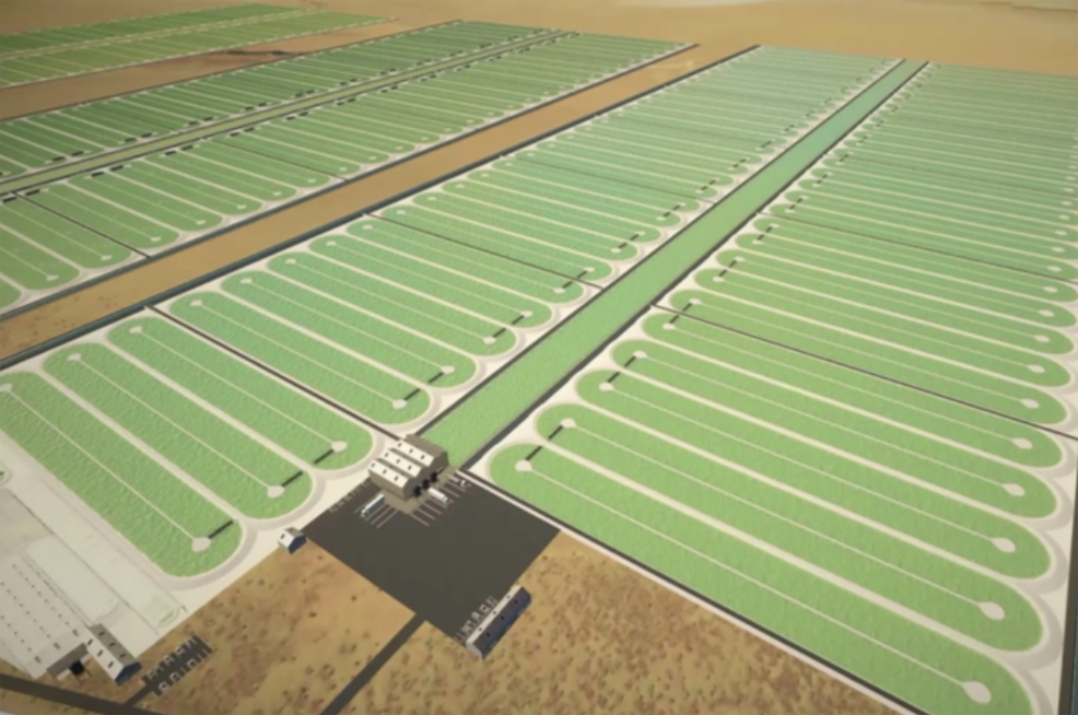 algae carbon capture technology