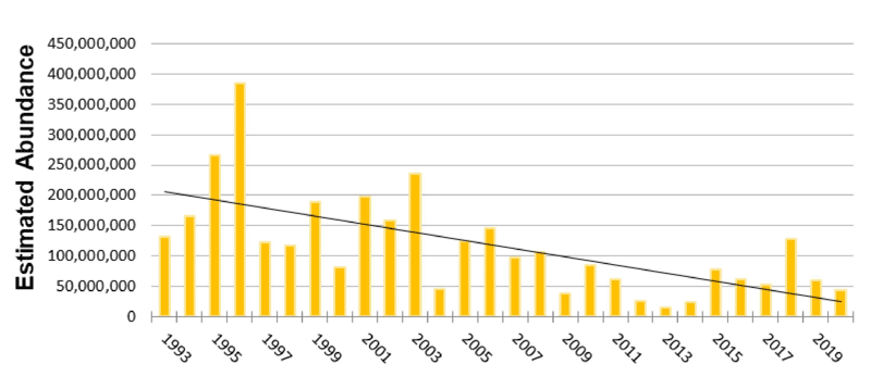 monarch butterfly timeline