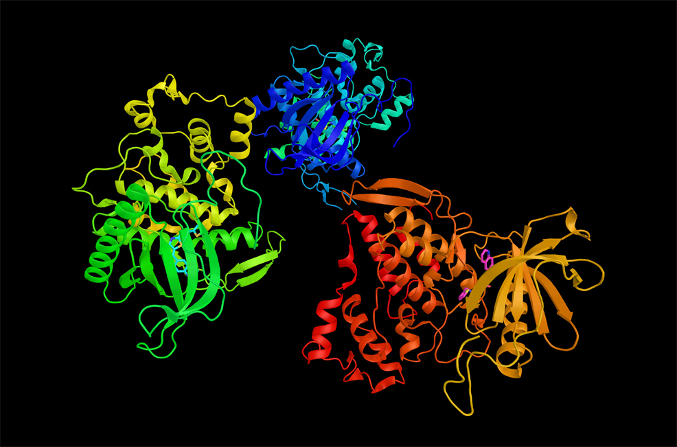 ai protein folding prediction