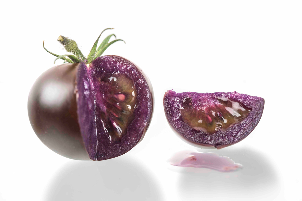 genetically modified purple tomato