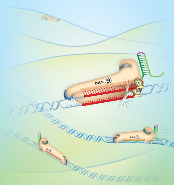 new gene therapy technique