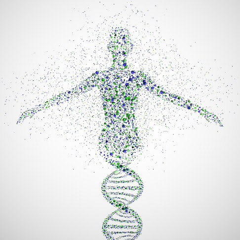 human genome project timeline 2003