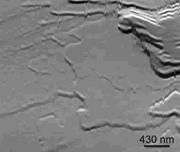 2015 mit microscope 2000 times faster nano
