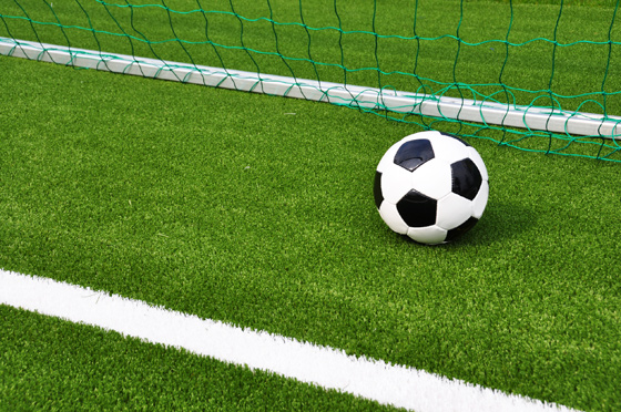 goal line technology