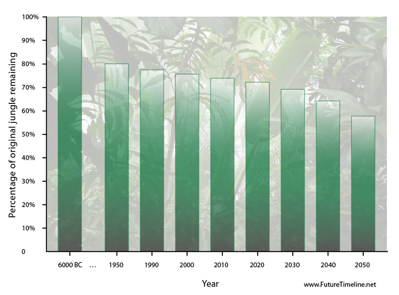 congo jungle rainforest deforestation future trend